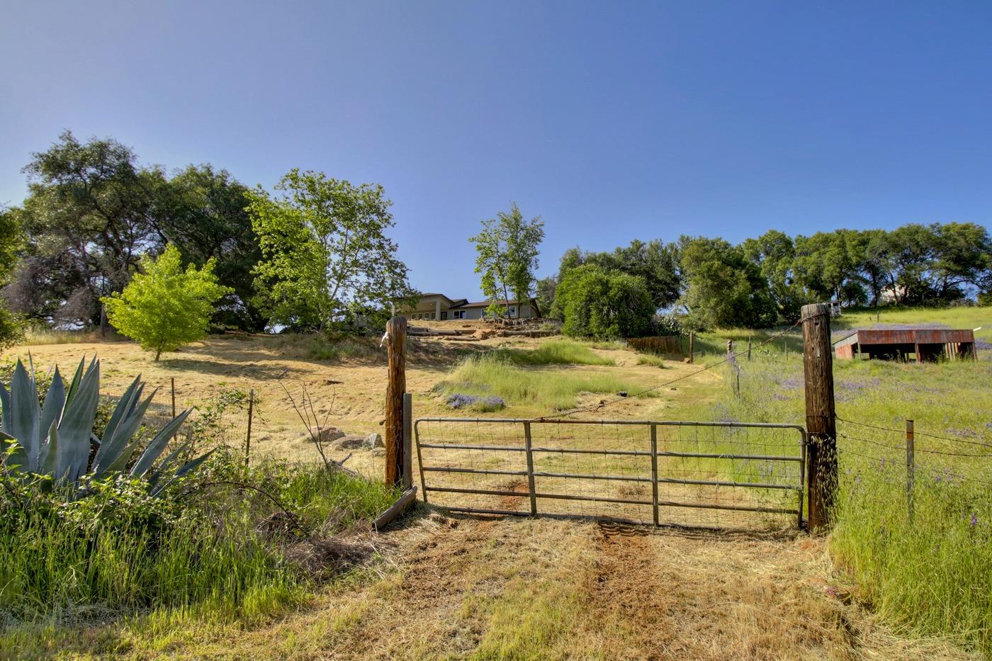Detail Gallery Image 78 of 98 For 8535 Irish Ln, Newcastle,  CA 95658 - 4 Beds | 3 Baths