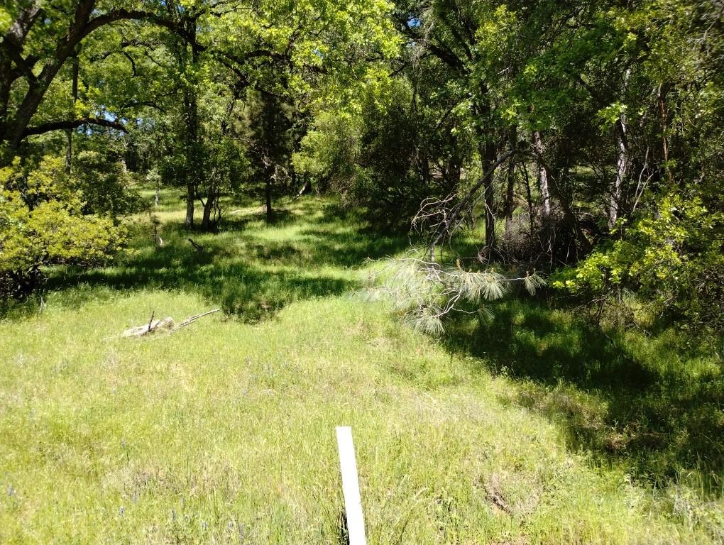 Wolf Creek Road, Grass Valley, California image 3