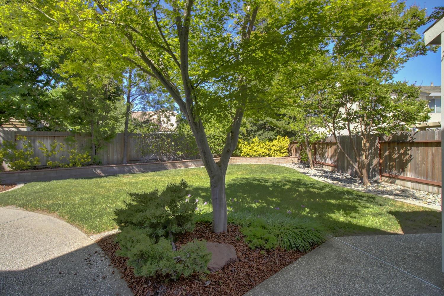 Bantam Way, Elk Grove, California image 48