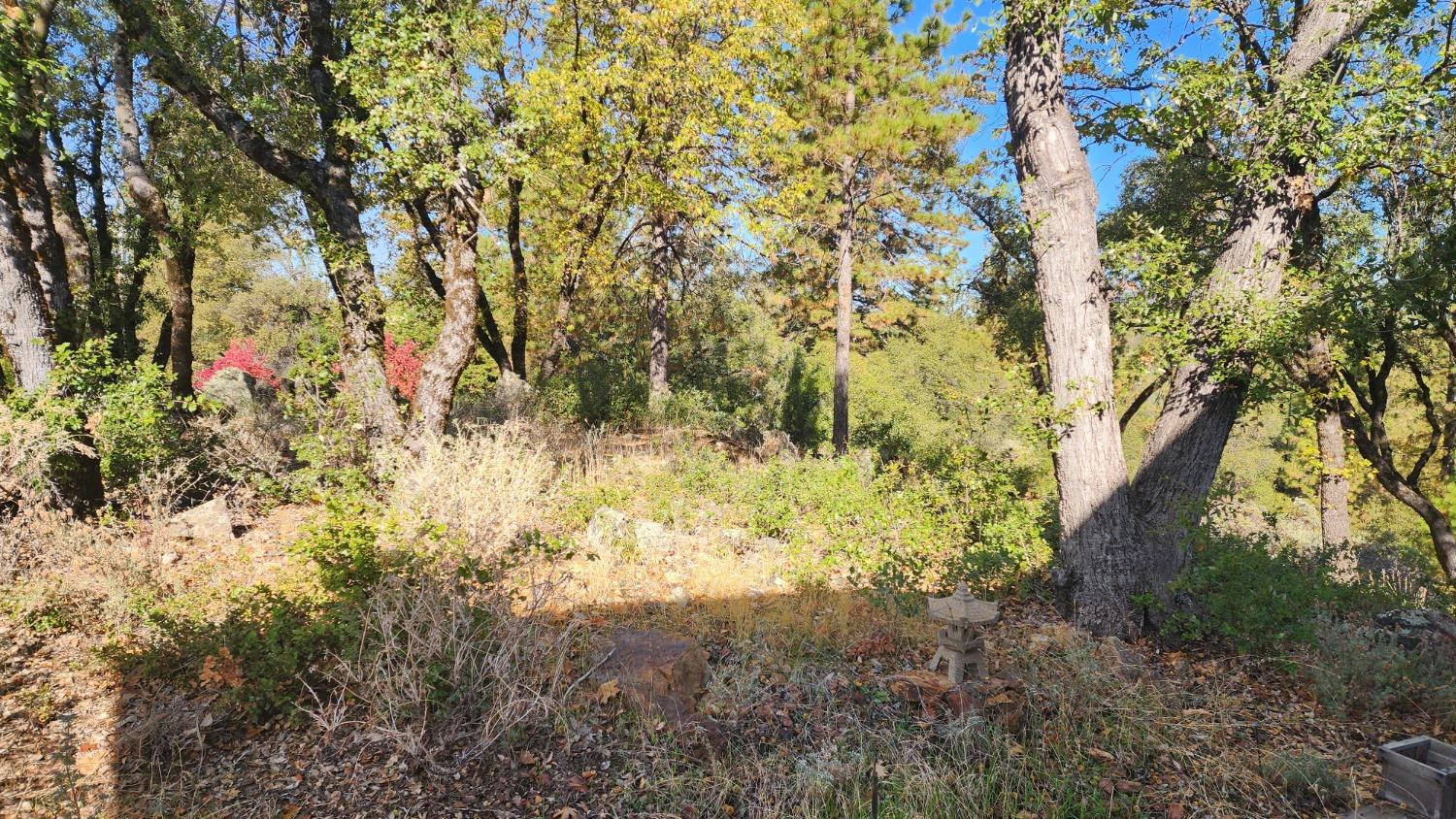 Hilltop Court, Applegate, California image 36