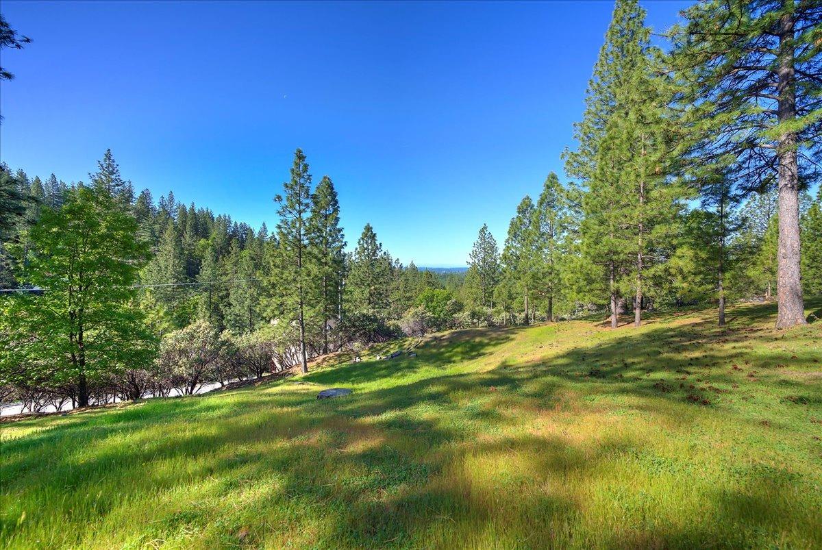 Diablo View Trail, Placerville, California image 30