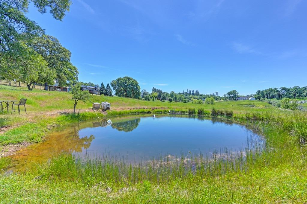 Meadow View Lane, Auburn, California image 48