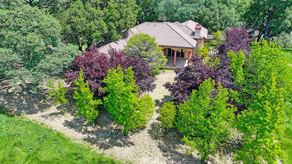 Detail Gallery Image 51 of 61 For 12859 Austin Forest Cir, Auburn,  CA 95602 - 4 Beds | 2/1 Baths