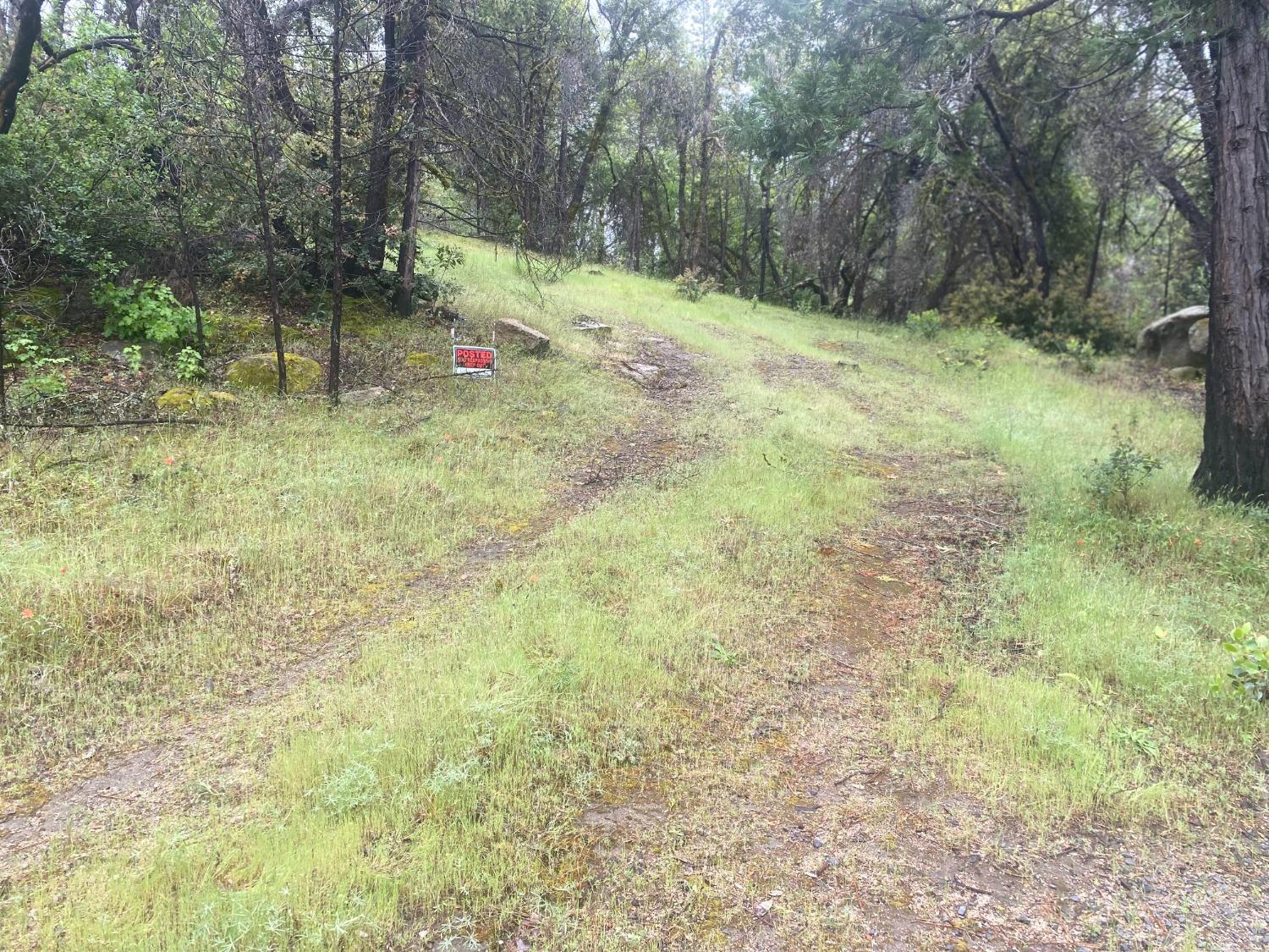 Hecker Way, Oroville, California image 8