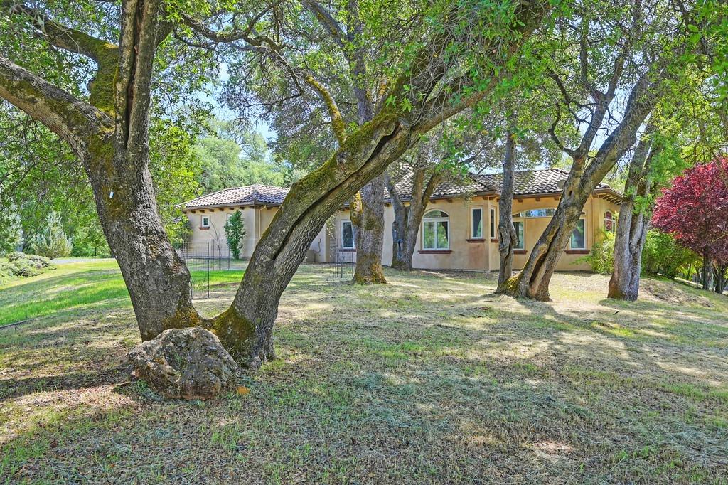 Austin Forest Circle, Auburn, California image 43