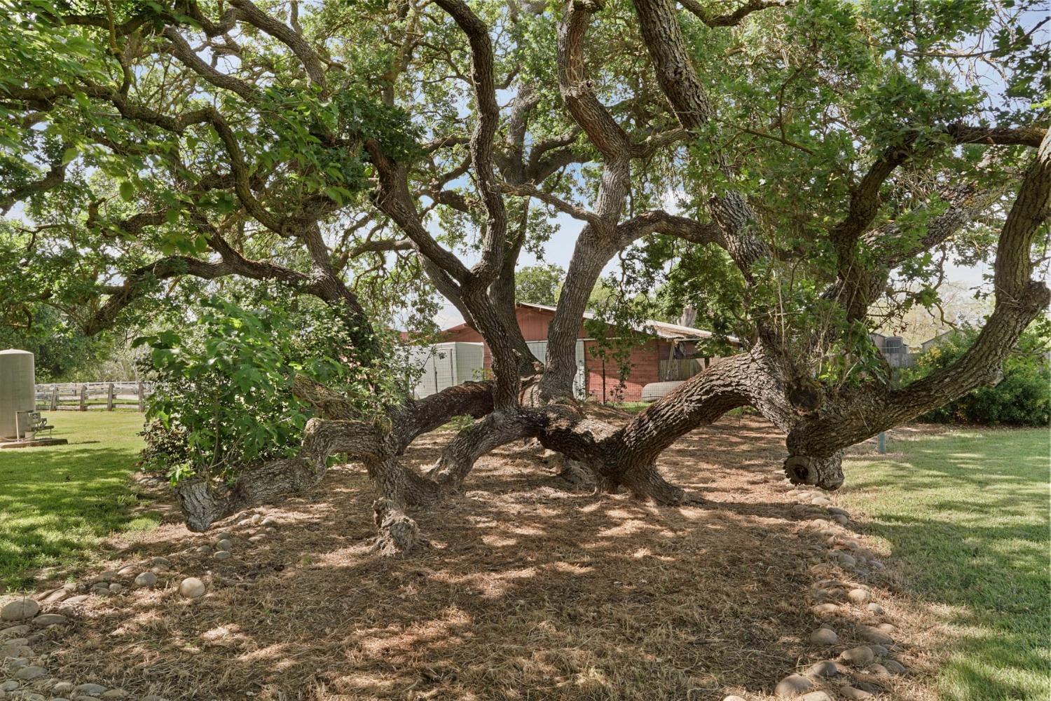 Detail Gallery Image 39 of 54 For 25292 White Fence Ct, Acampo,  CA 95220 - 4 Beds | 2 Baths