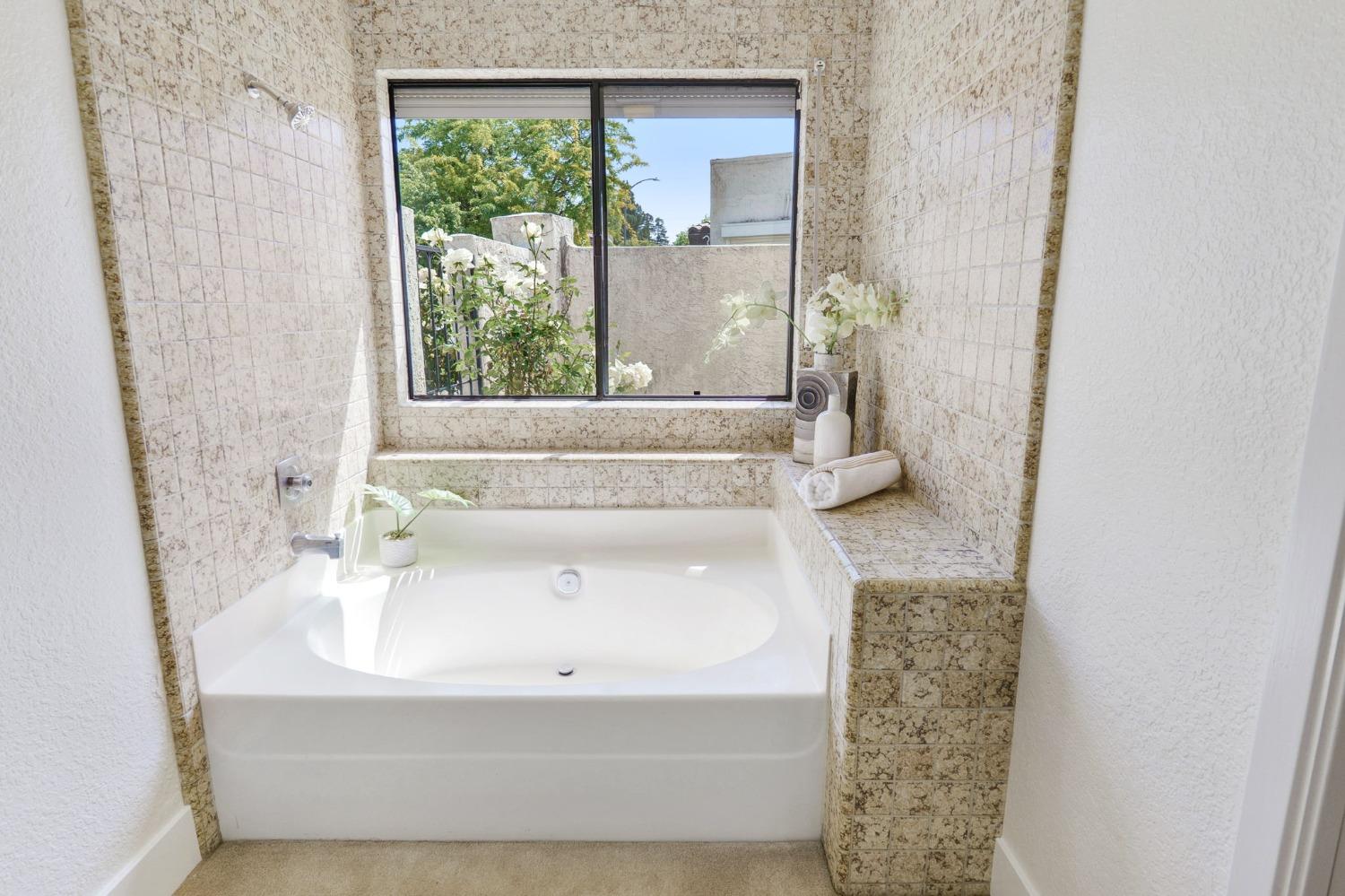 Lake Terrace Circle, Davis, California image 17