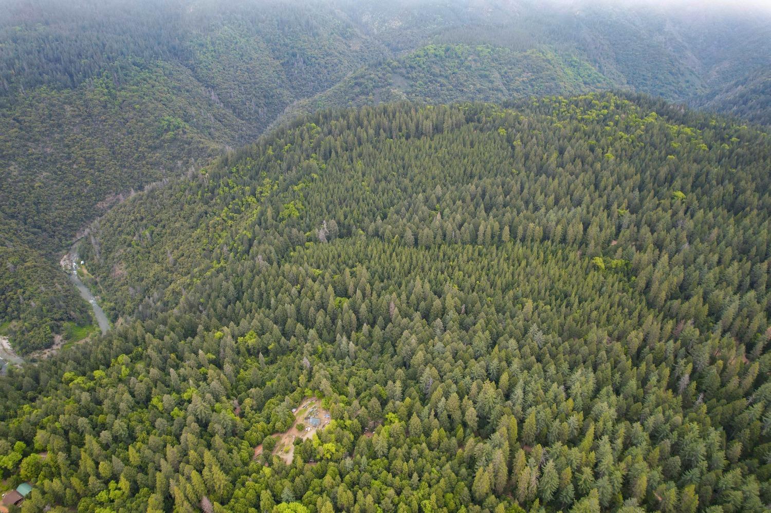 Long Point Road, Nevada City, California image 5