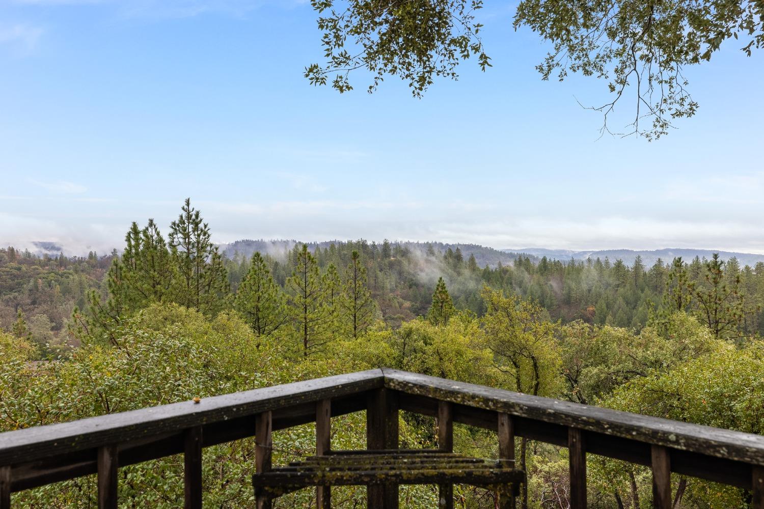 Hilltop Court, Applegate, California image 20
