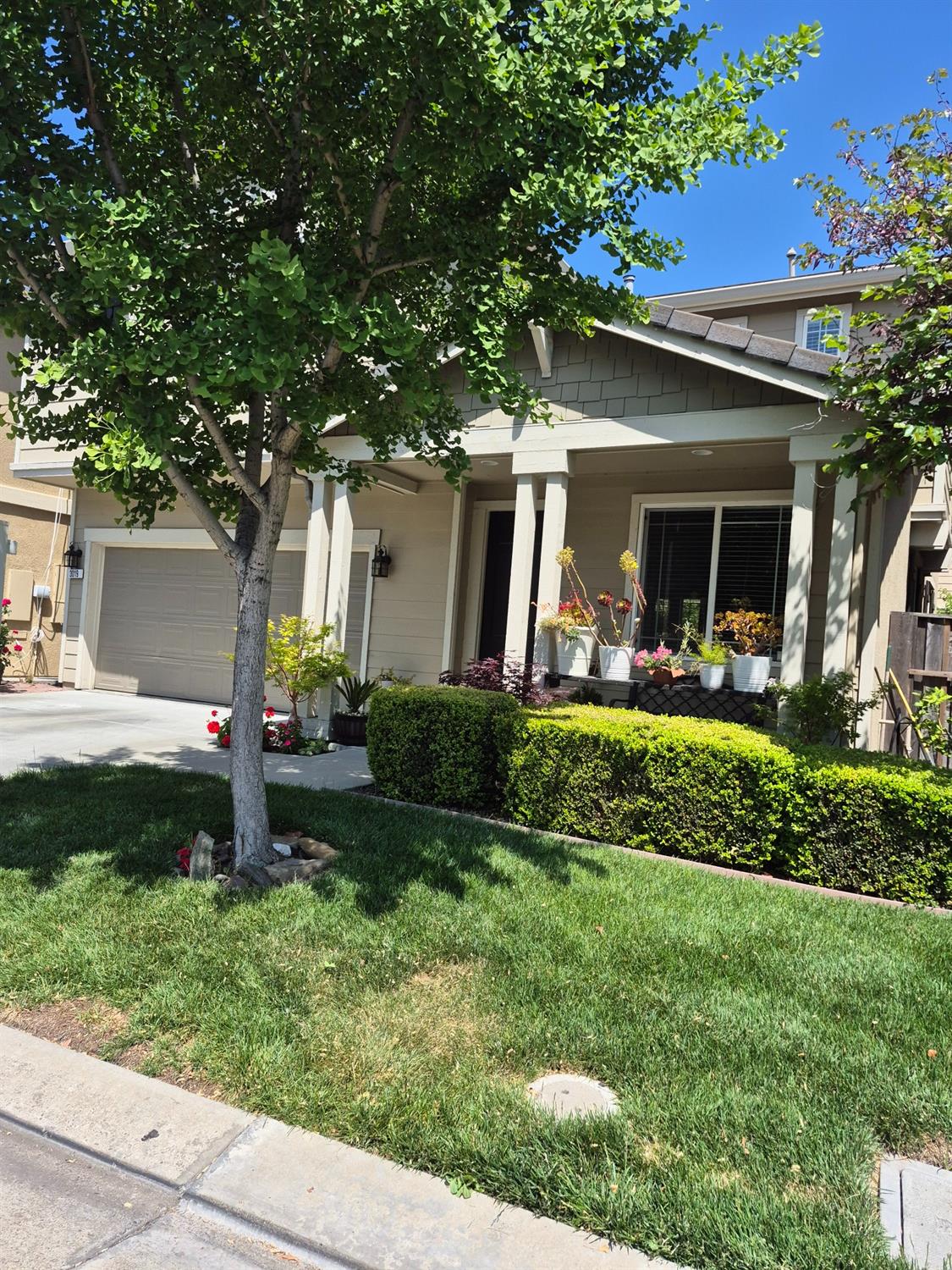 Sweet Lilac Way, Stockton, California image 4