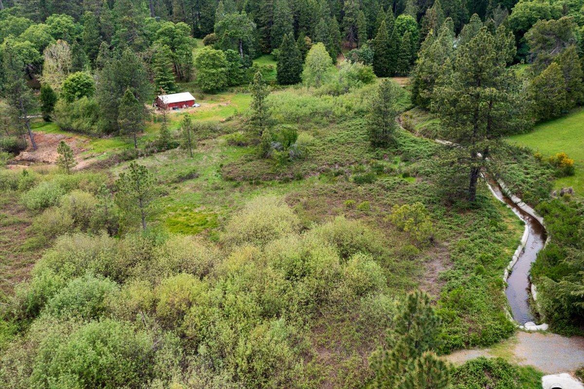 State Highway 193, Georgetown, California image 9