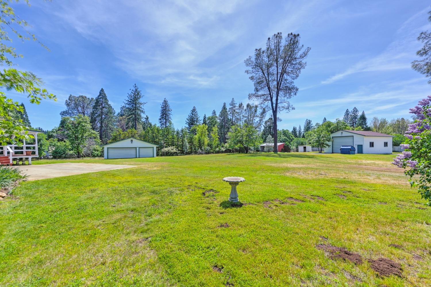 Fruitridge Road, Placerville, California image 2