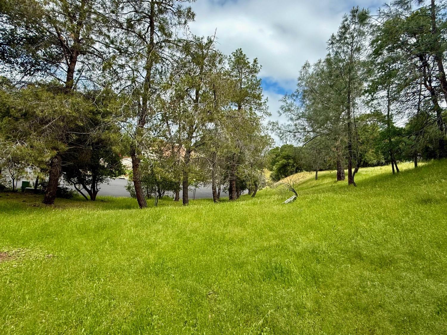 Castec Way, El Dorado Hills, California image 8