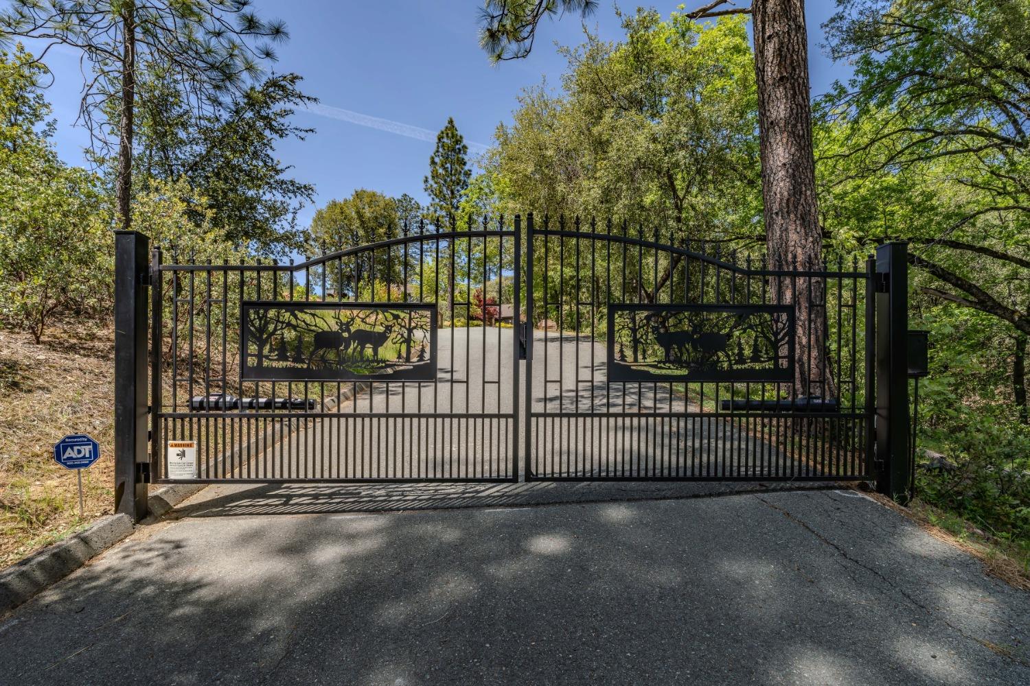Detail Gallery Image 84 of 88 For 13707 Petersen Ranch Dr, Pine Grove,  CA 95665 - 3 Beds | 2/1 Baths