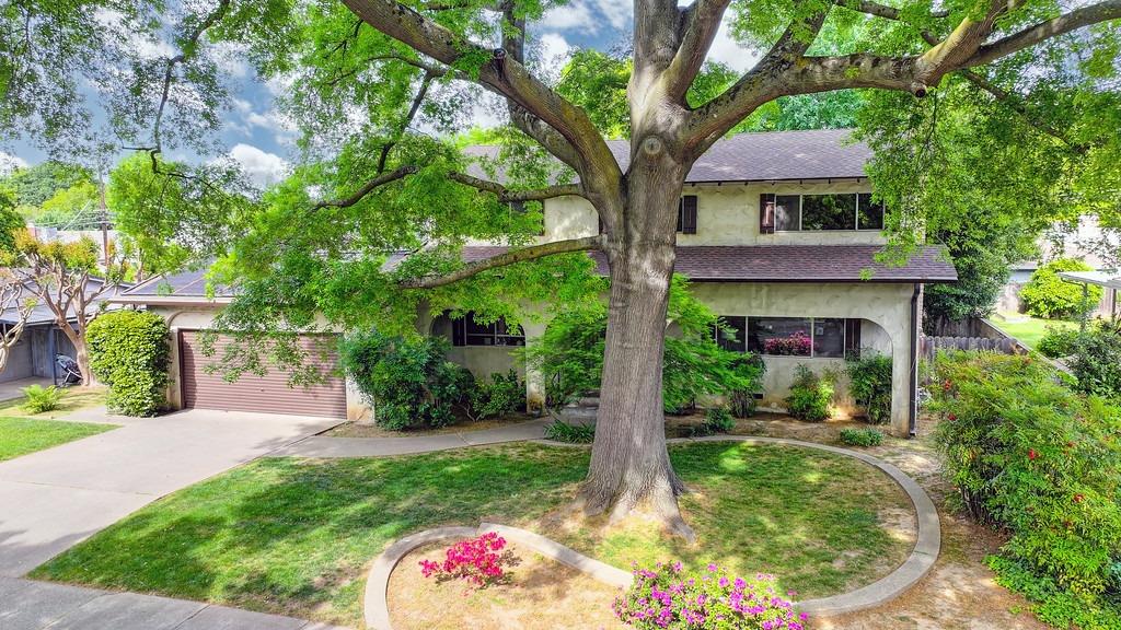 Shepard Avenue, Sacramento, California image 1