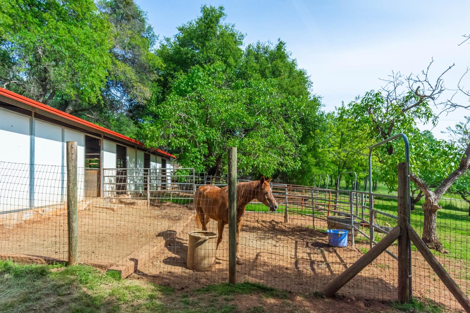 Detail Gallery Image 42 of 49 For 5521 Quail Hollow Rd, Pilot Hill,  CA 95664 - 2 Beds | 2 Baths
