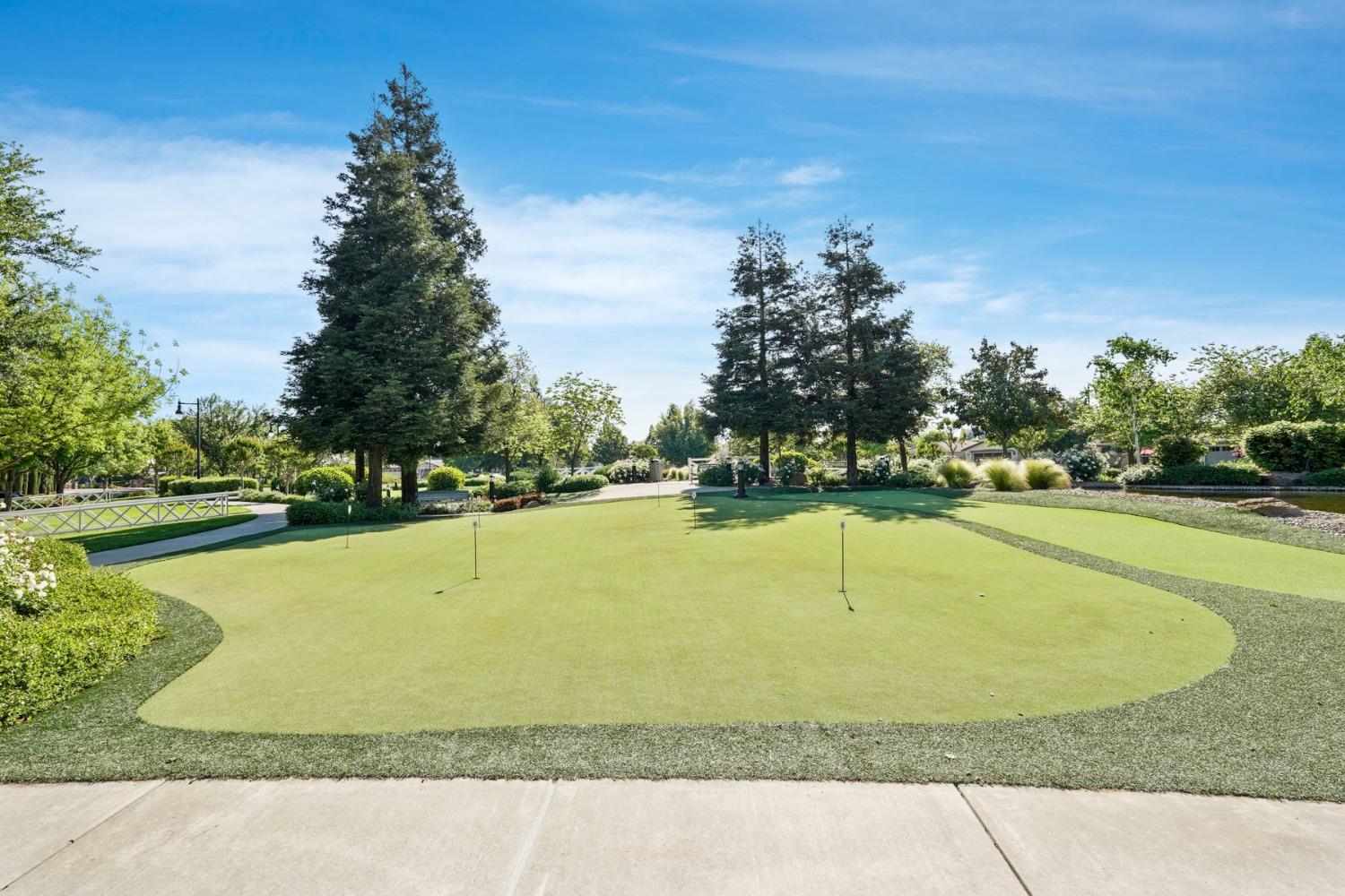 Shadow Berry Dr., Manteca, California image 38