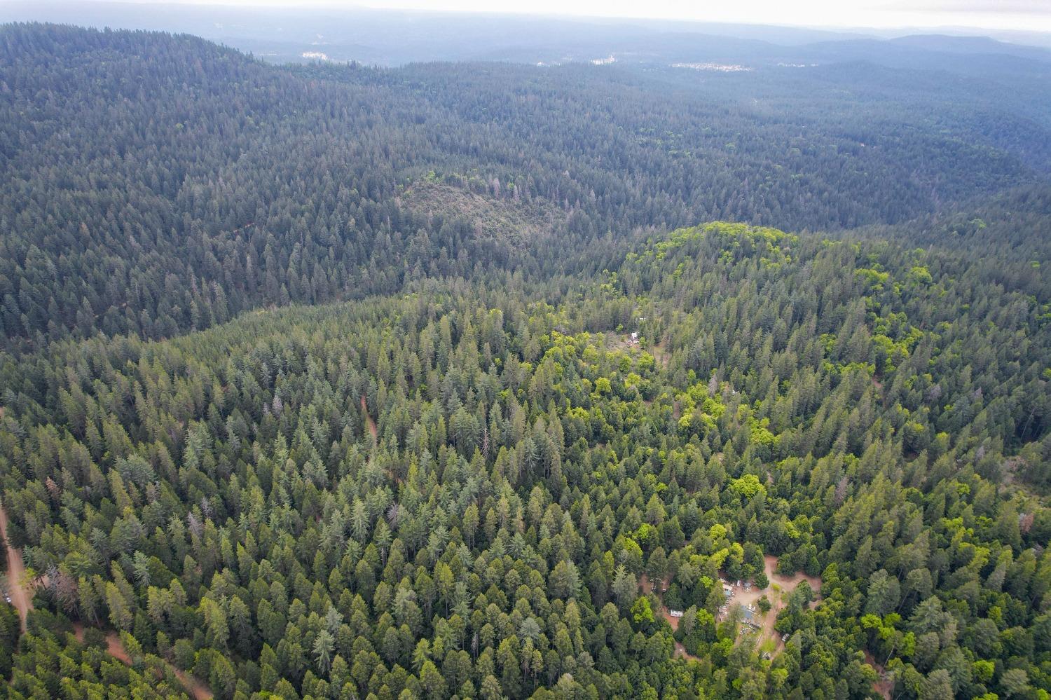 Long Point Road, Nevada City, California image 7