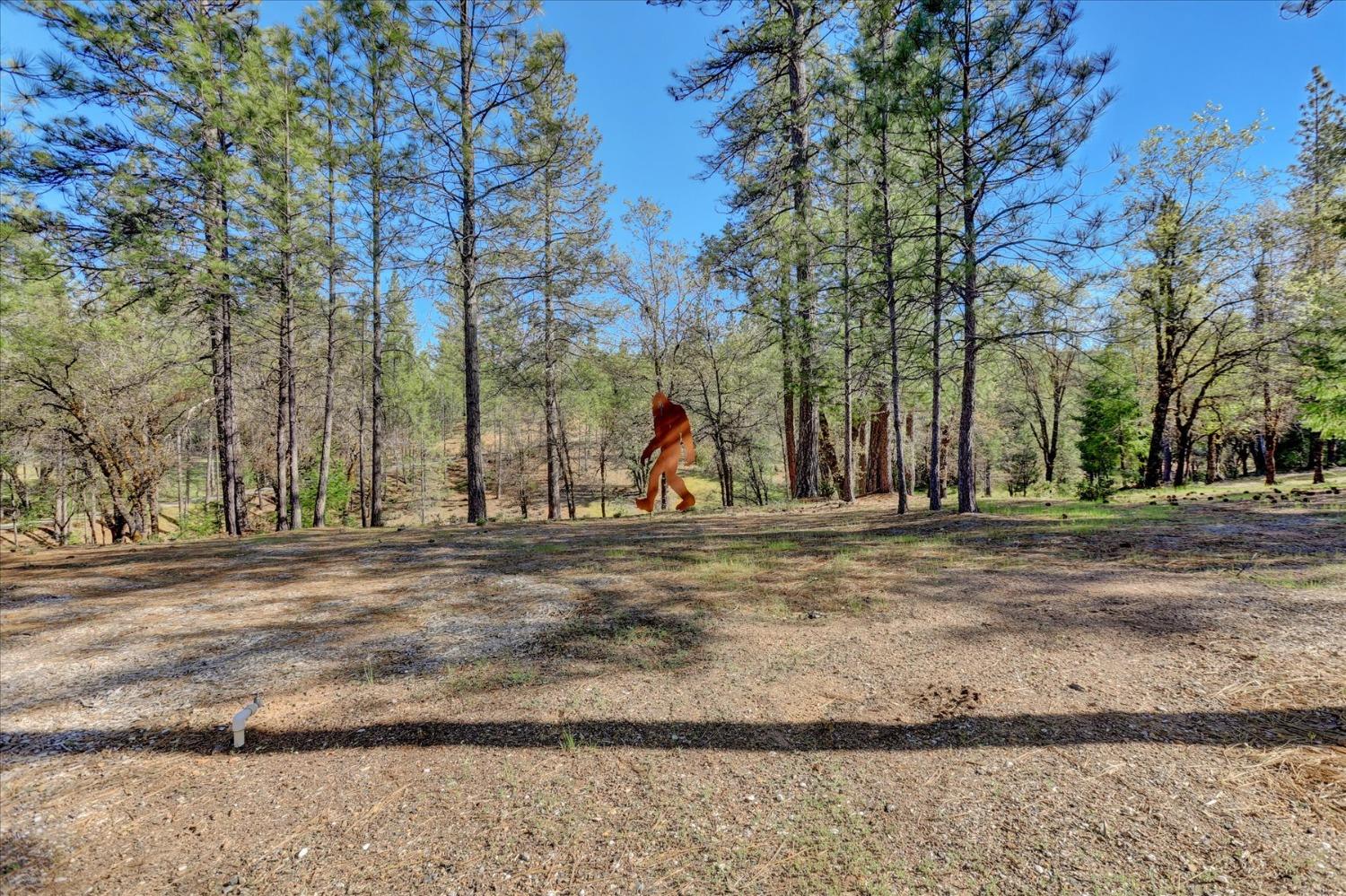 Detail Gallery Image 58 of 80 For 12673 Hoppy Hollow Rd, Grass Valley,  CA 95945 - 4 Beds | 3/1 Baths