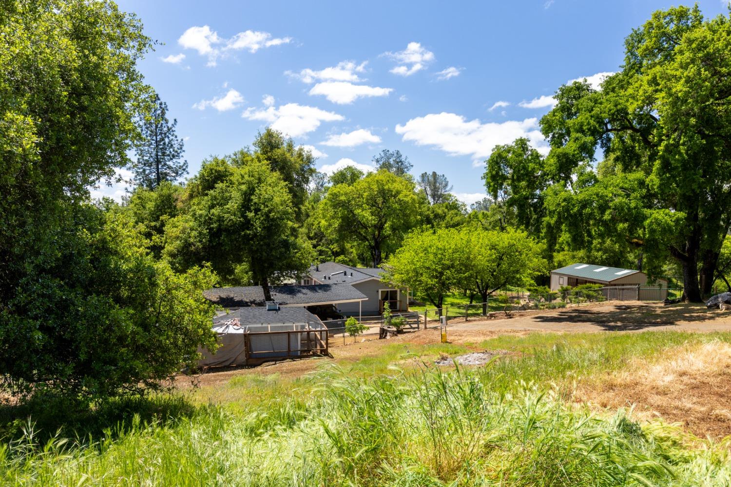 Buzztail Road, El Dorado, California image 30