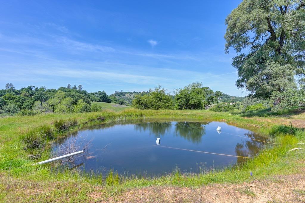 Meadow View Lane, Auburn, California image 49