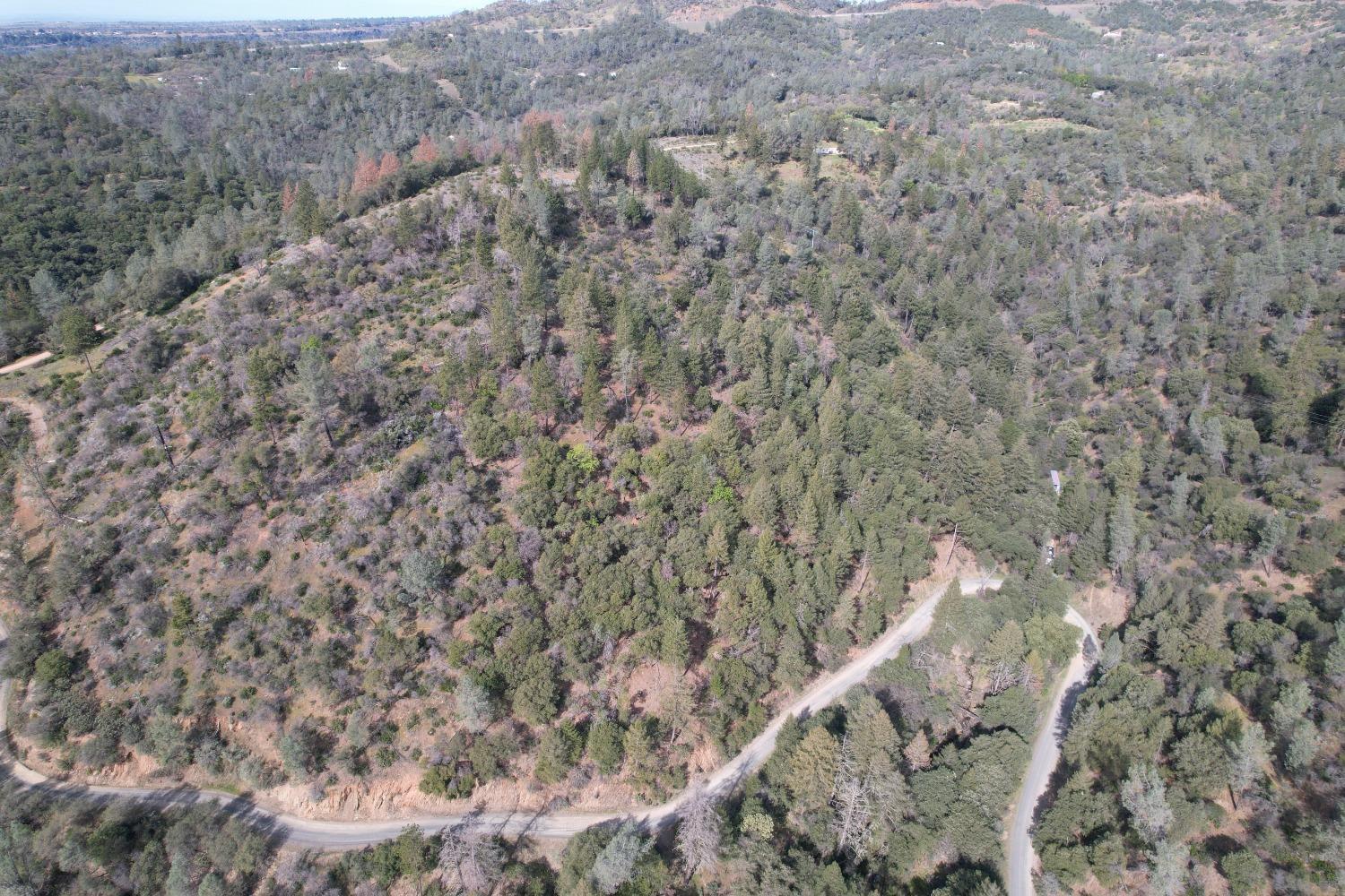 0 Lower Gulch Road, Oroville, California image 9