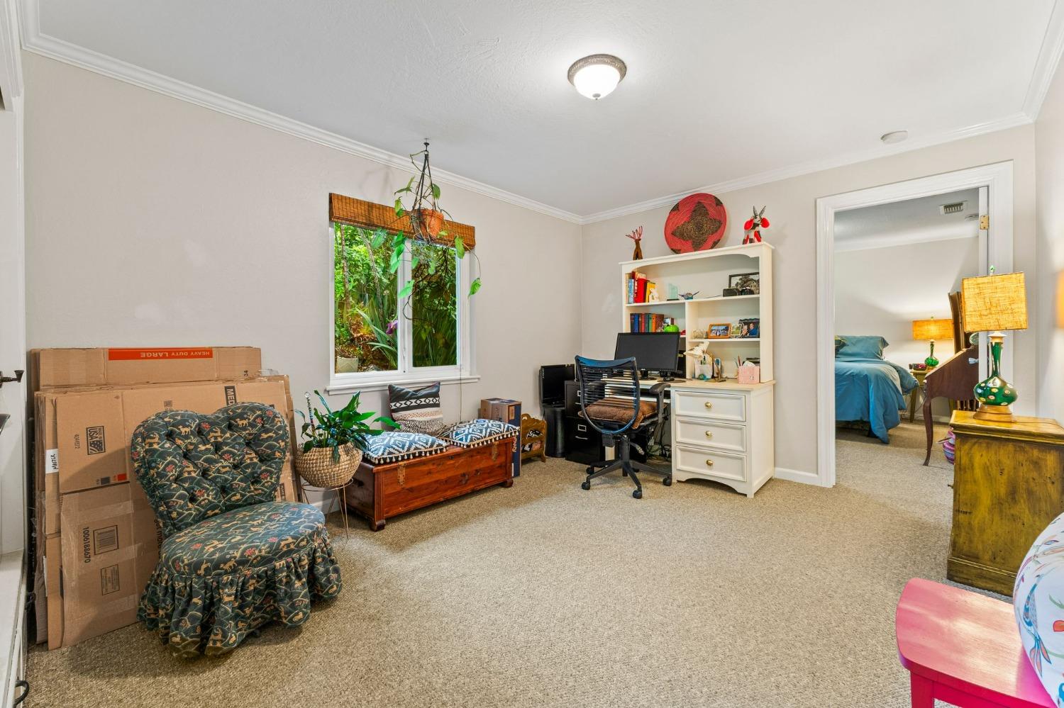 Bryan Way, Placerville, California image 19