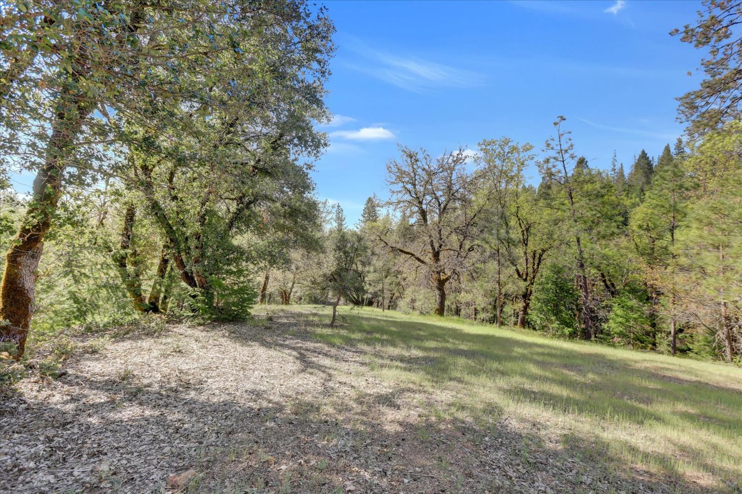 Detail Gallery Image 71 of 80 For 12673 Hoppy Hollow Rd, Grass Valley,  CA 95945 - 4 Beds | 3/1 Baths