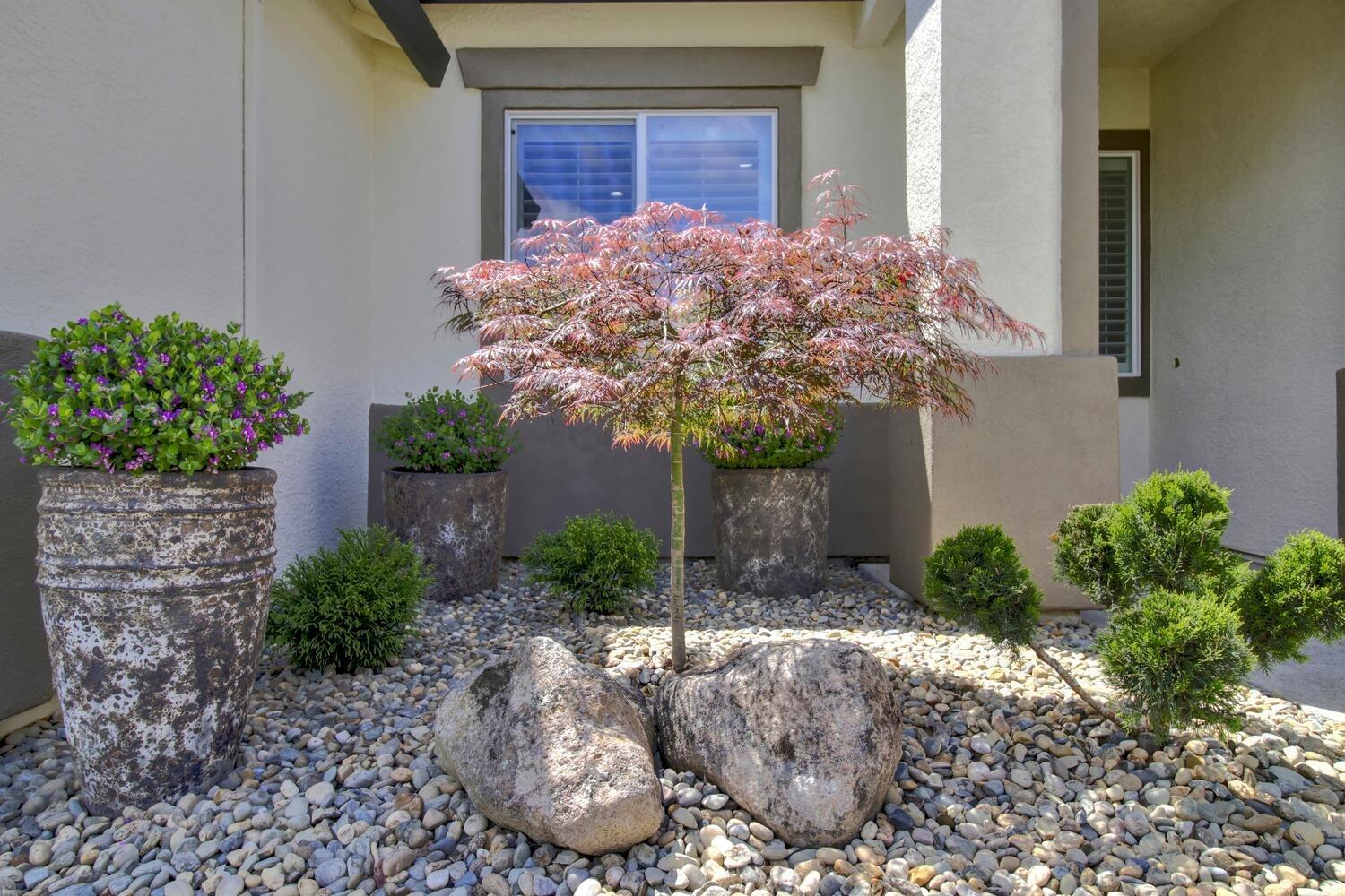 Detail Gallery Image 3 of 85 For 2500 Emerald Lake, Elk Grove,  CA 95758 - 2 Beds | 2 Baths