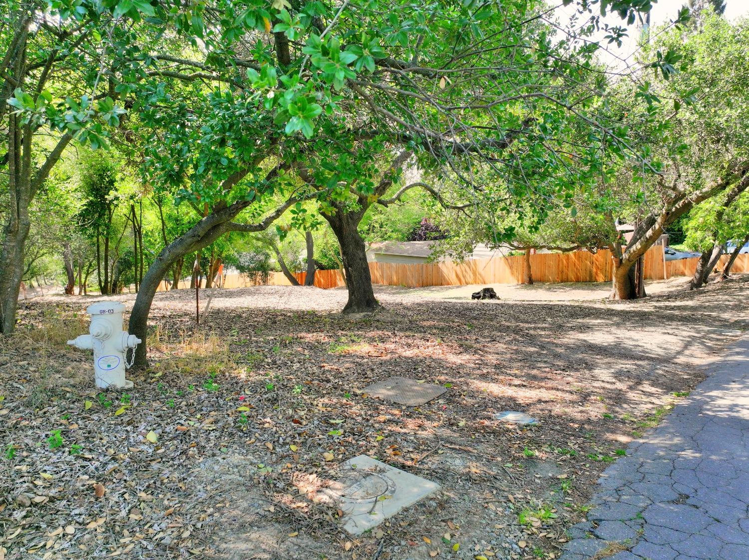 Ridge Street, Fair Oaks, California image 7