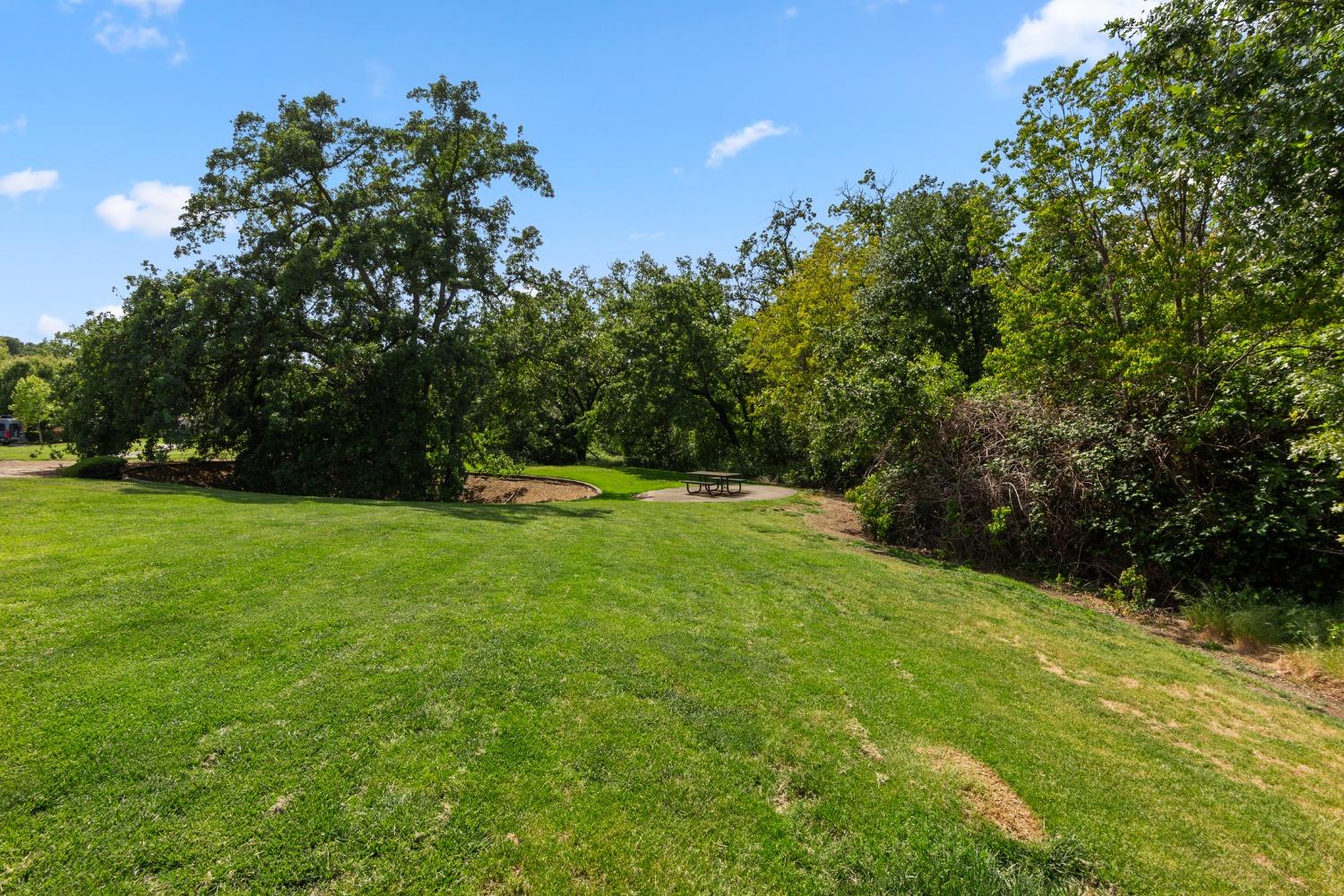 Pleasant Creek Drive, Rocklin, California image 41