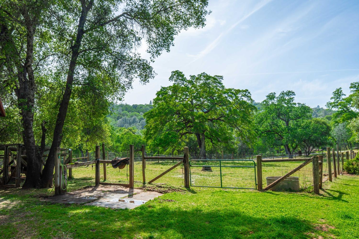 Detail Gallery Image 41 of 49 For 5521 Quail Hollow Rd, Pilot Hill,  CA 95664 - 2 Beds | 2 Baths