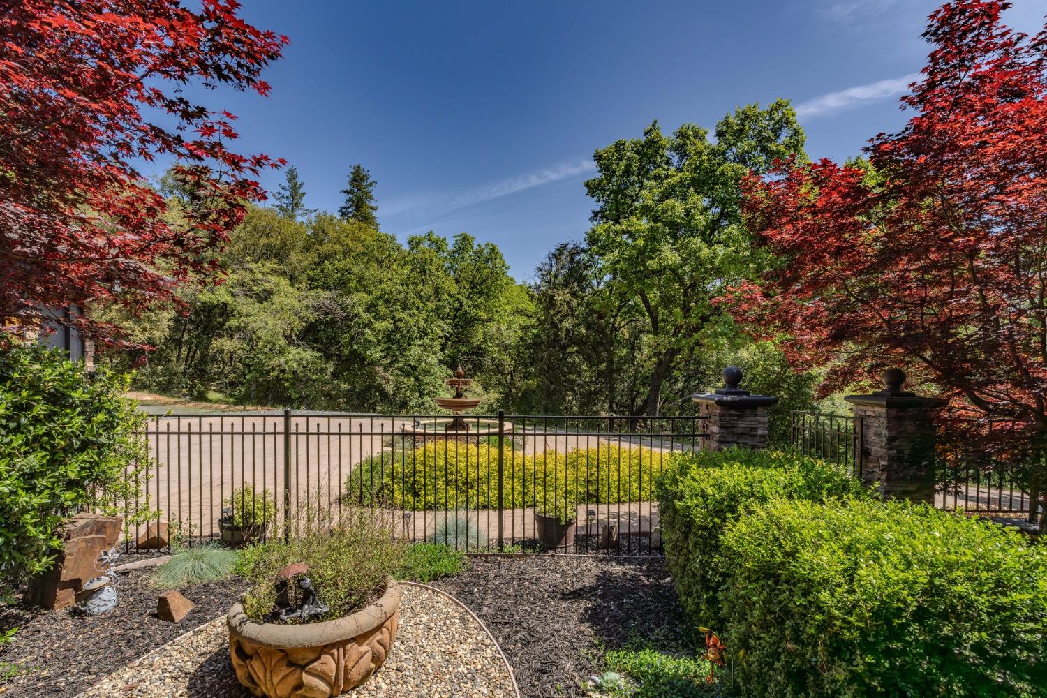 Detail Gallery Image 61 of 88 For 13707 Petersen Ranch Dr, Pine Grove,  CA 95665 - 3 Beds | 2/1 Baths