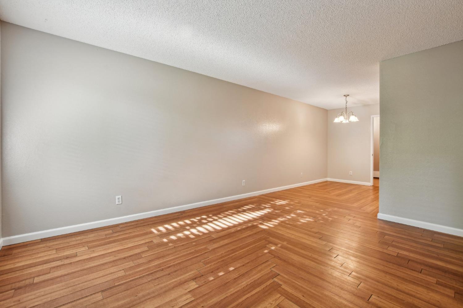 Photo #8: 225033057 Listing: Photo #8
