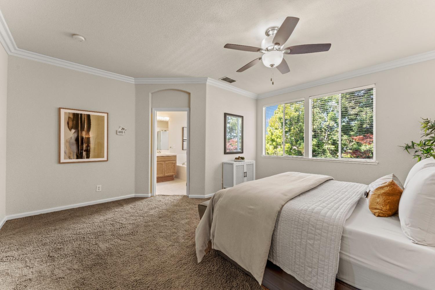 Hadnall Ct, Roseville, California image 21