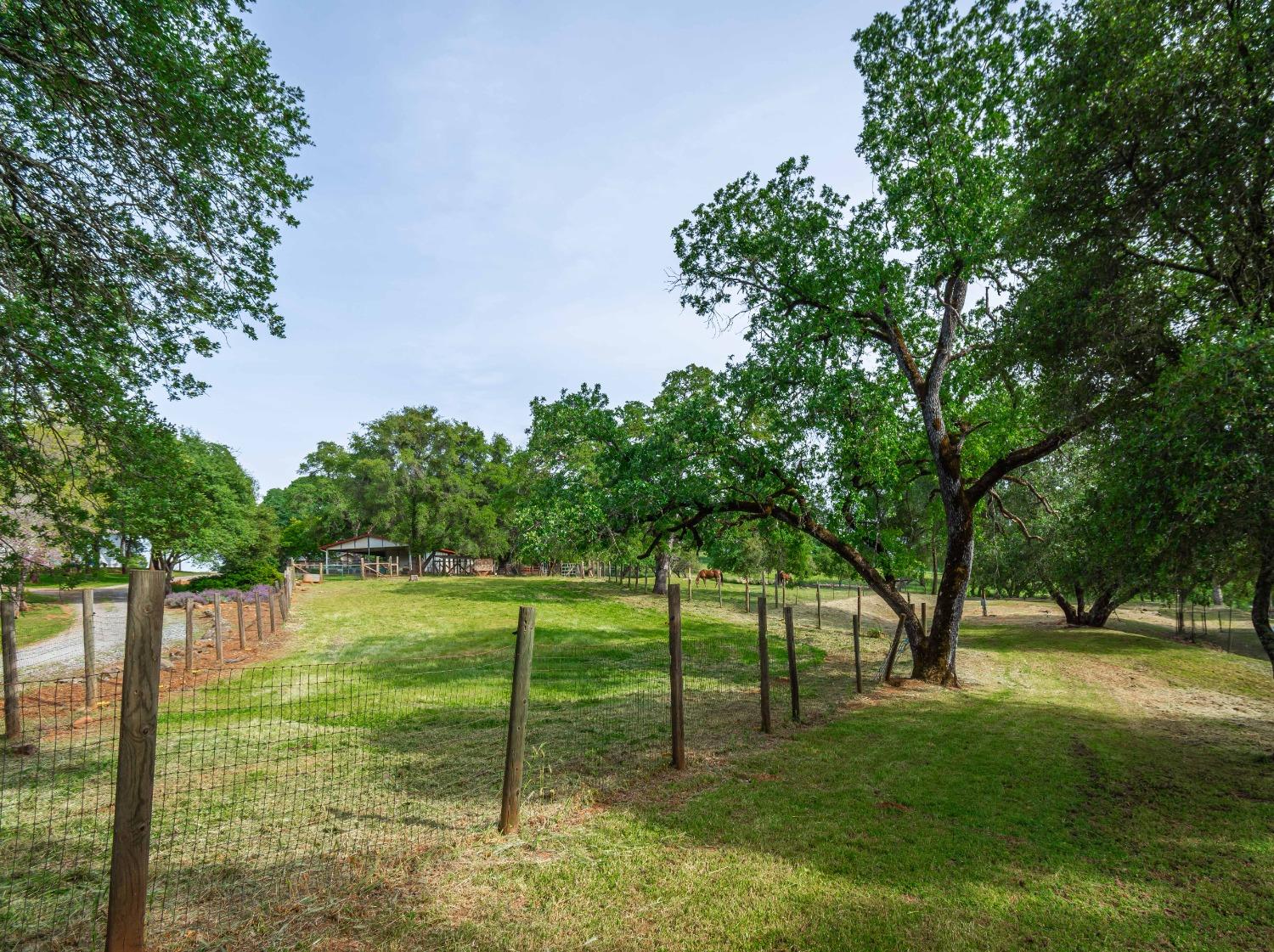 Detail Gallery Image 37 of 49 For 5521 Quail Hollow Rd, Pilot Hill,  CA 95664 - 2 Beds | 2 Baths
