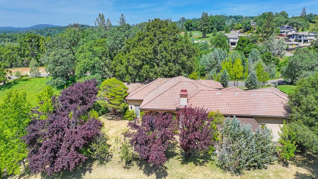 Austin Forest Circle, Auburn, California image 48