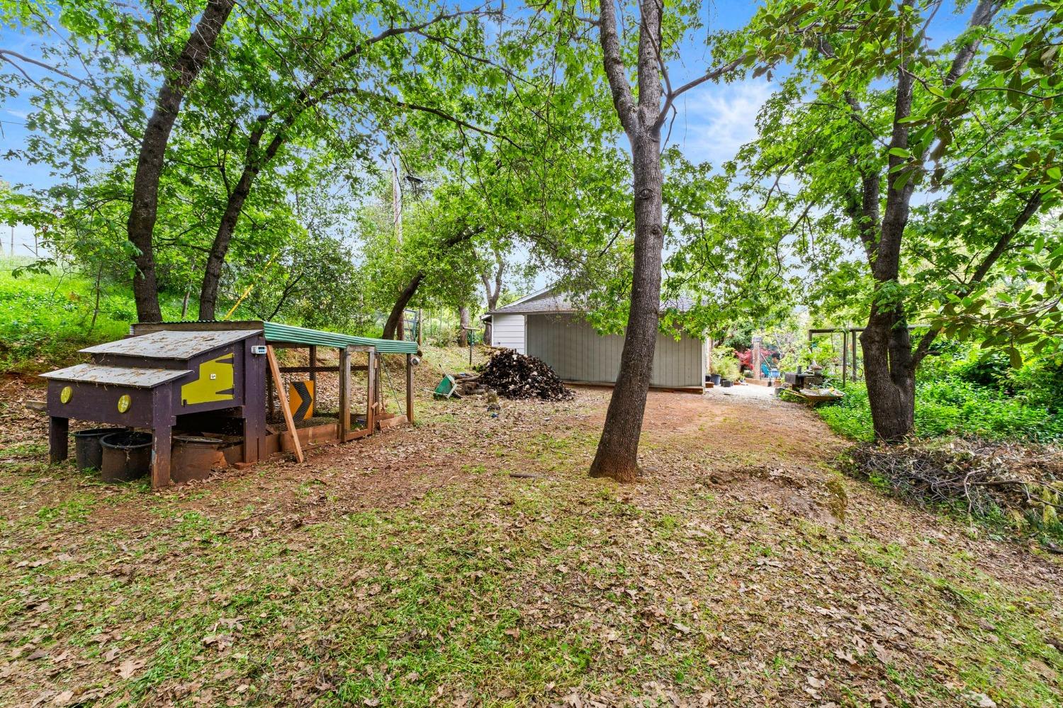 Bryan Way, Placerville, California image 25
