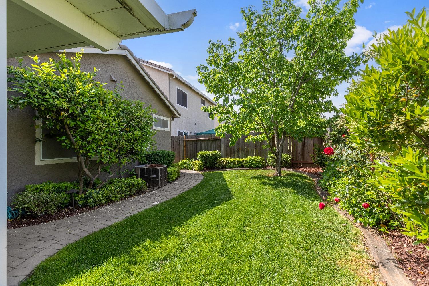 Wildflower Drive, Roseville, California image 10