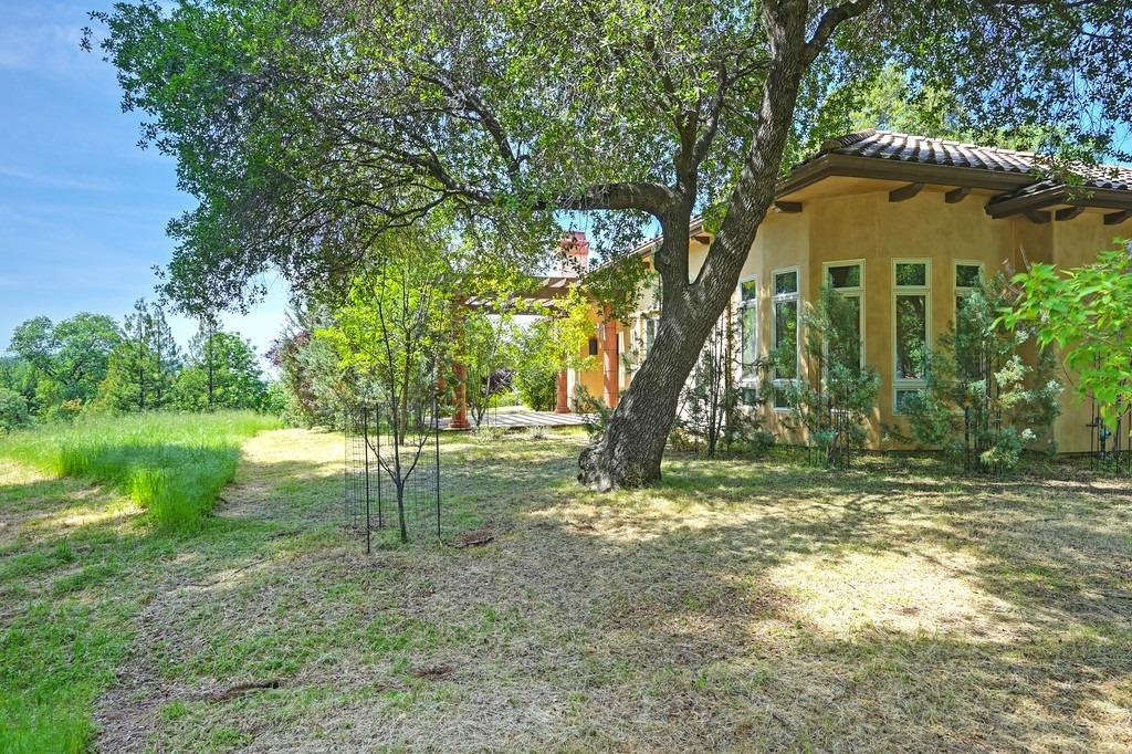 Austin Forest Circle, Auburn, California image 44