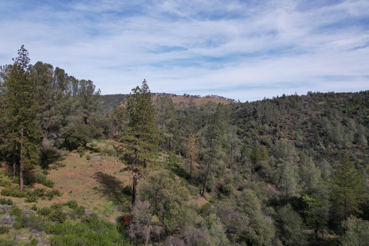 0 Lower Gulch Road, Oroville, California image 6