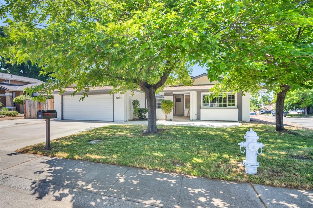 Twin Oaks Avenue, Citrus Heights, California image 3