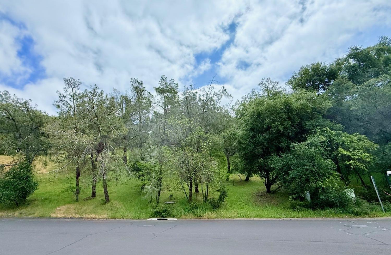 Castec Way, El Dorado Hills, California image 4