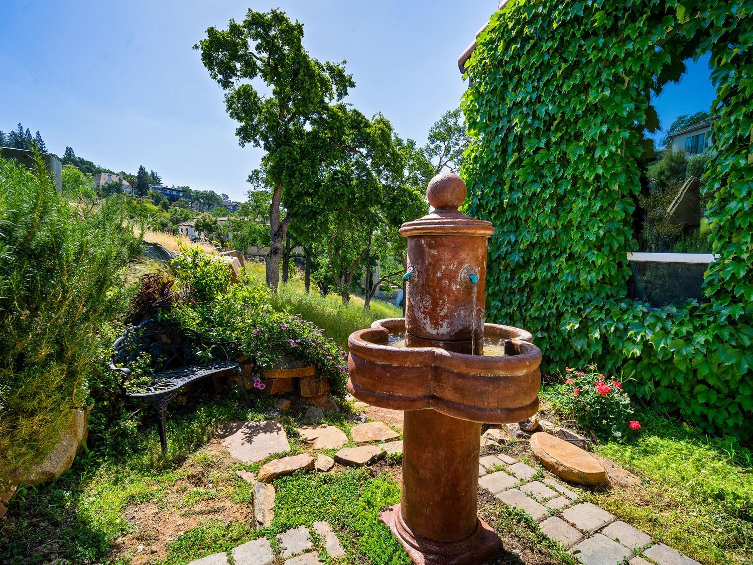 Via Fiori, El Dorado Hills, California image 3