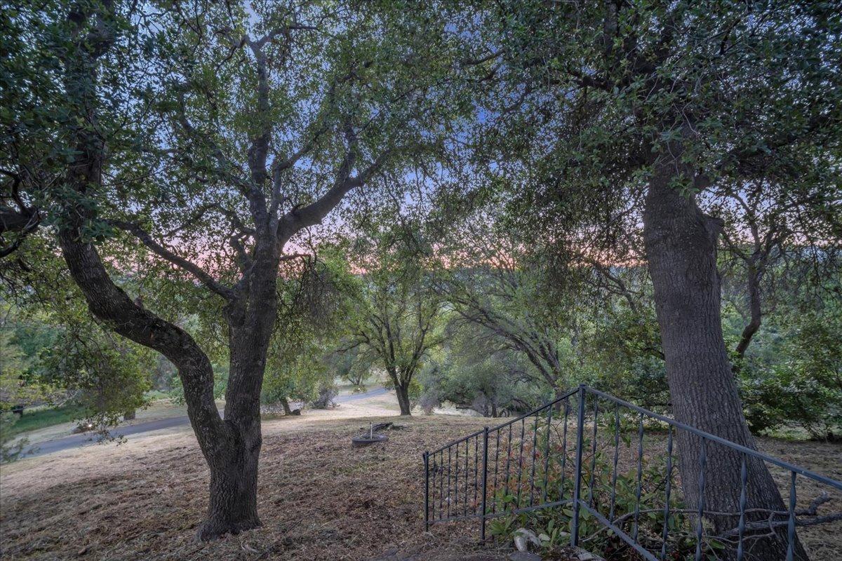 Detail Gallery Image 42 of 54 For 1605 Auburn Folsom Rd, Auburn,  CA 95603 - 3 Beds | 2 Baths