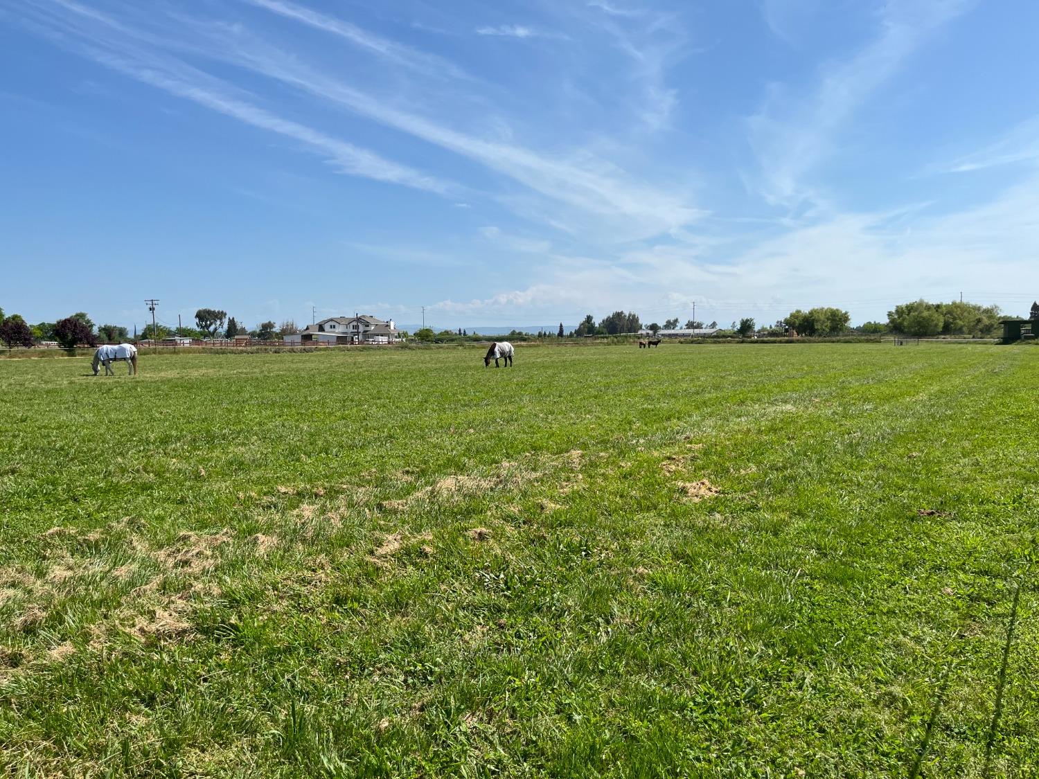 Walnut Avenue, Oakdale, California image 7