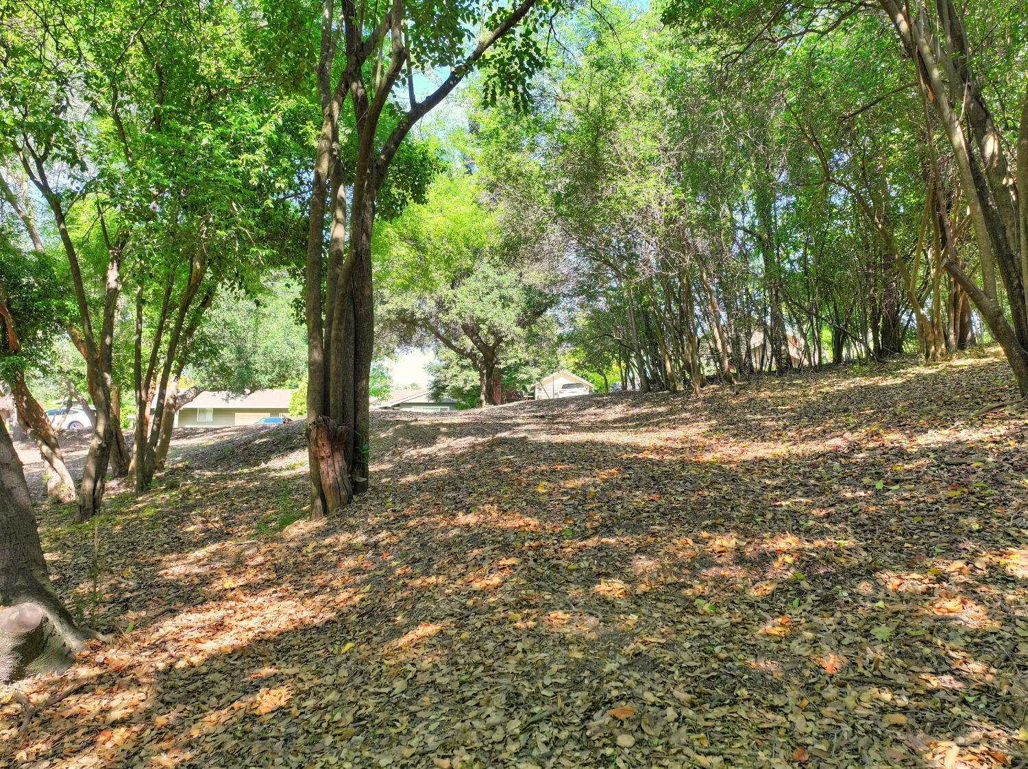 Ridge Street, Fair Oaks, California image 26
