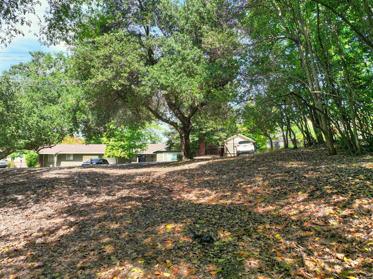 Ridge Street, Fair Oaks, California image 27