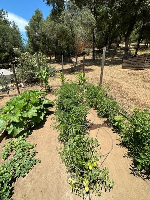 Detail Gallery Image 97 of 97 For 6909 Flat Creek Rd, Somerset,  CA 95684 - 3 Beds | 2/1 Baths