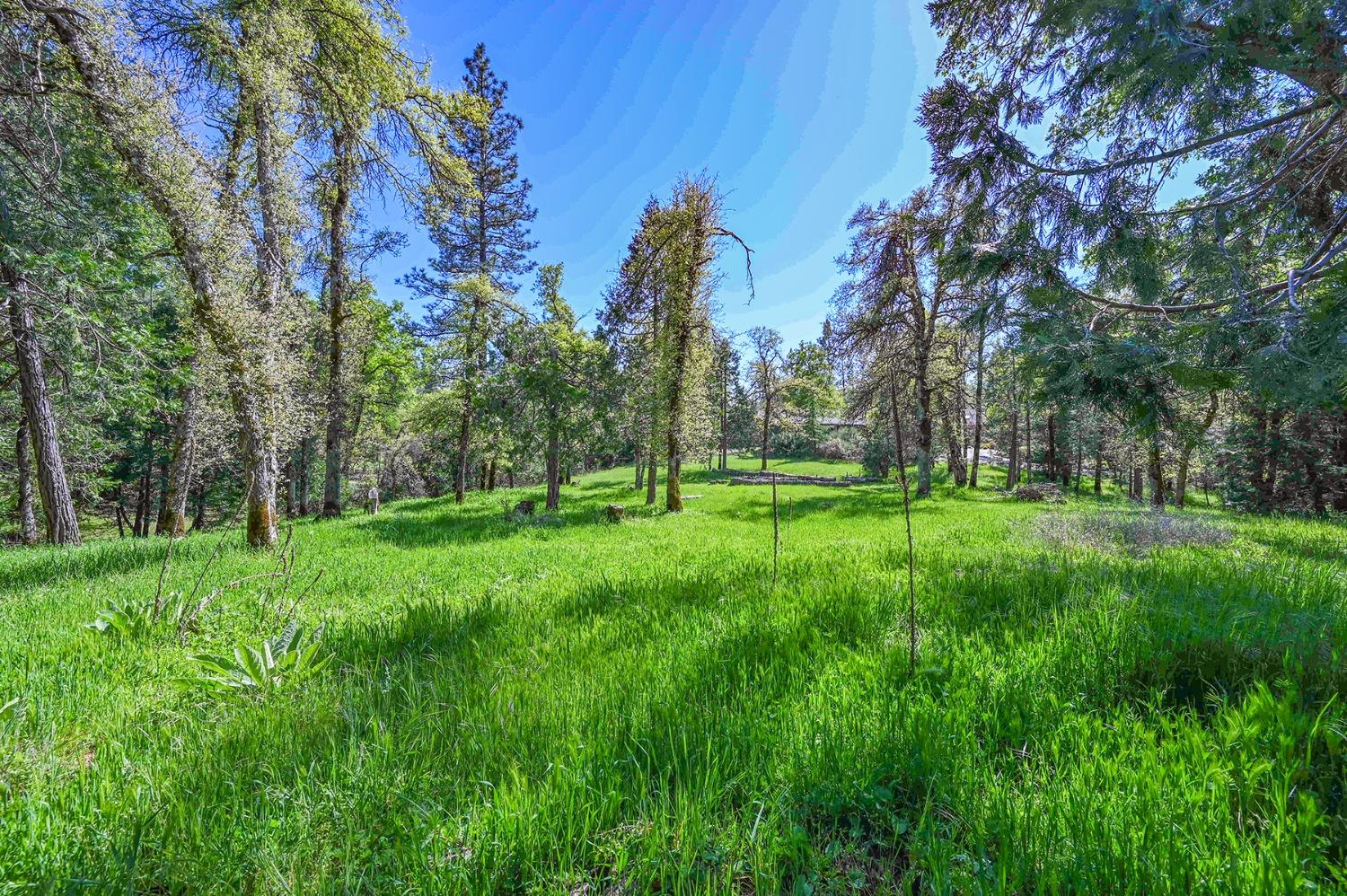 Detail Gallery Image 55 of 67 For 4171 Empire Creek Cir, Georgetown,  CA 95634 - 3 Beds | 2 Baths